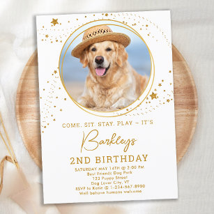 Personalised Pet Photo Gold Stars Dog Birthday  Invitation