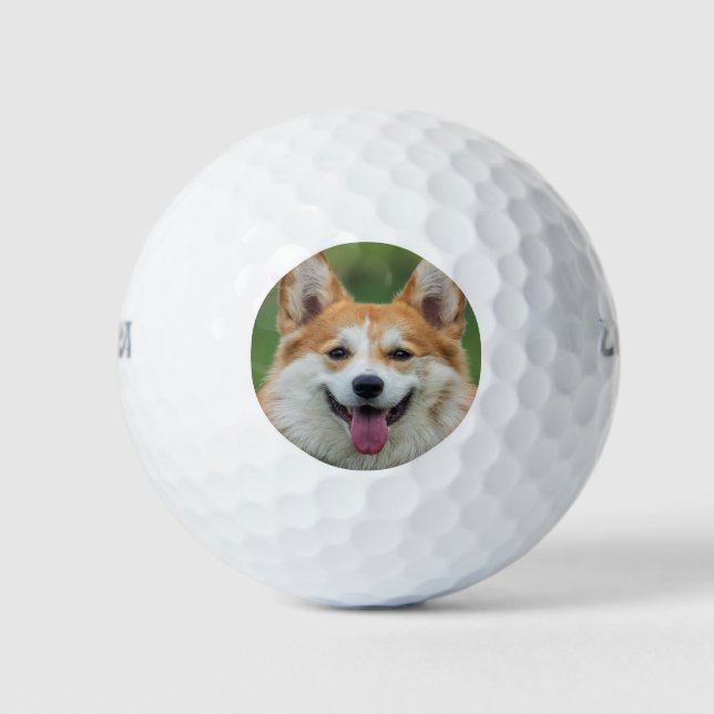 Personalised Pet Photo  Golf Balls (Front)