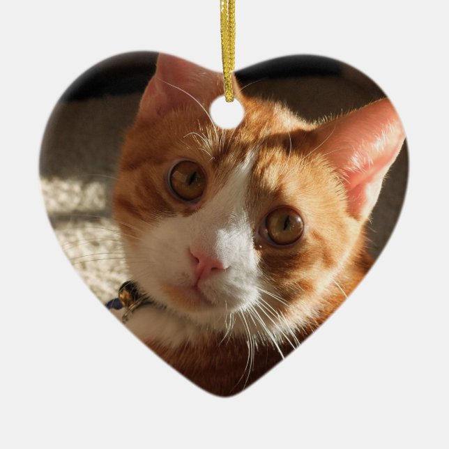 Personalised Pet Photo Heart Ornament (Front)