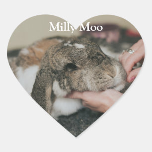  Personalised Pet Photo  Heart Sticker