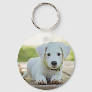 Personalised Pet Photo Key Ring