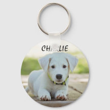Personalised Pet Photo