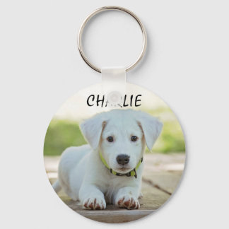 Personalised Pet Photo Key Ring