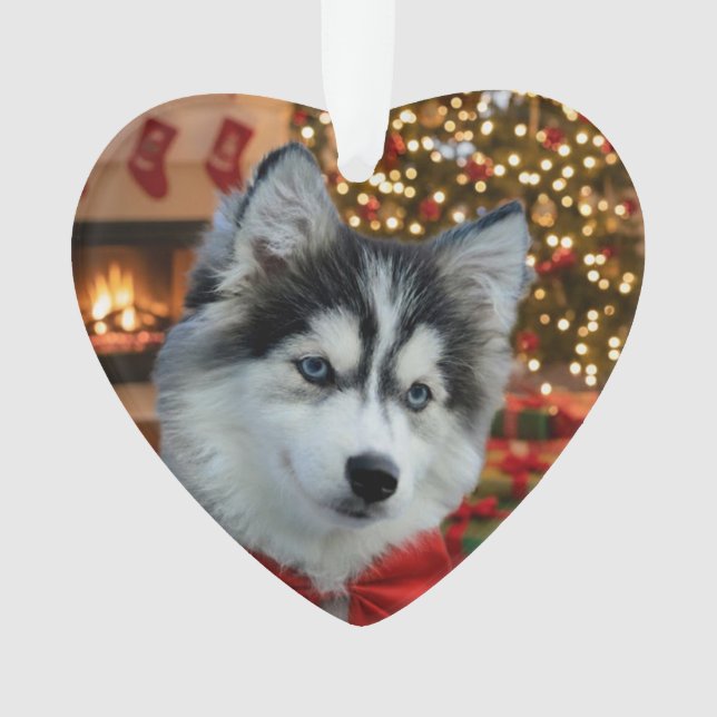 Personalised Pet Photo "Love" Gold Glitter Ornament (Front)
