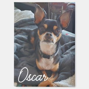 Personalised Pet Photo Magnet