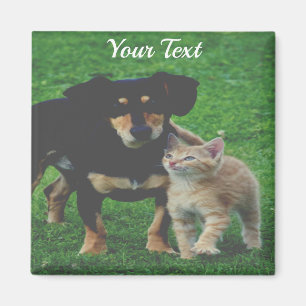 Personalised Pet Photo Magnet