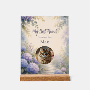 Personalised Pet Photo Memorial Acrylic Sign