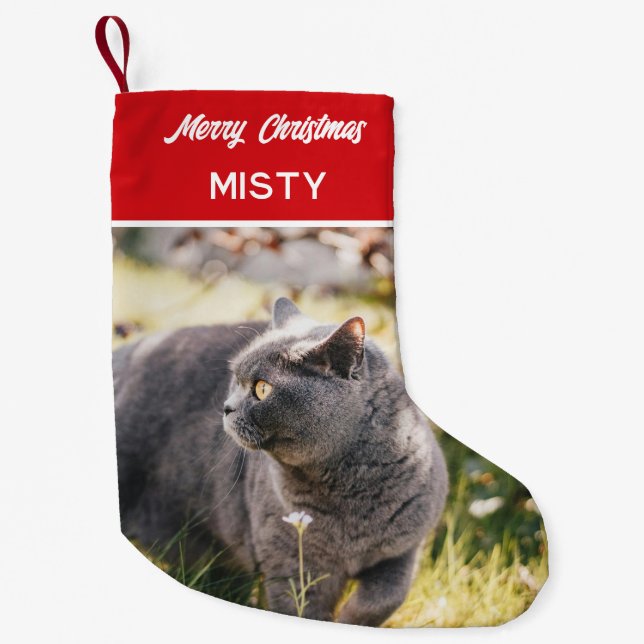 Personalised Pet Photo Monogram Name Red Small Christmas Stocking (Front)