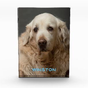 Personalised Pet Photo & Name Block