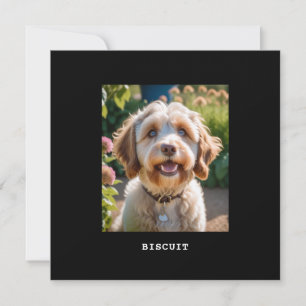 Personalised Pet Photo Name Dog Cat Greetings Card