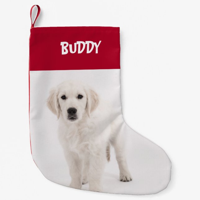 Personalised Pet Photo & Name Red Small Christmas Stocking (Front)