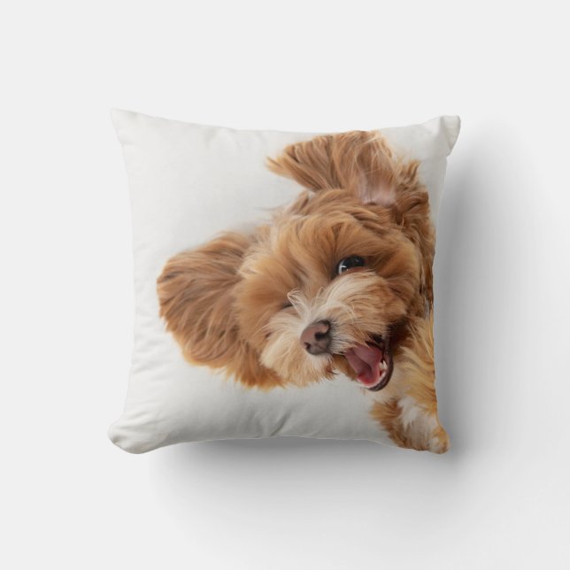 Personalised Pet Photo, Paw & Name Cushion (Front)