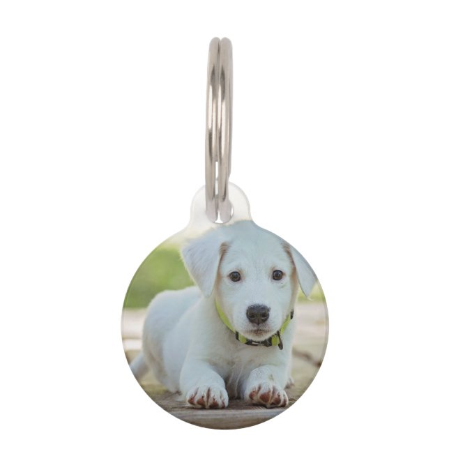 Personalised Pet Photo   Pet Tag (Front)