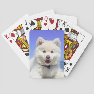 Personalised Pet Photo Playing Cards
