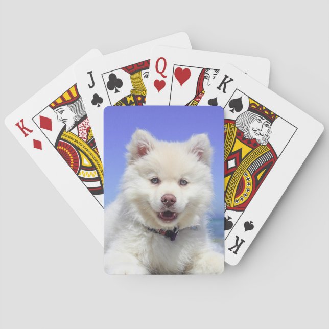 Personalised Pet Photo Playing Cards (Back)