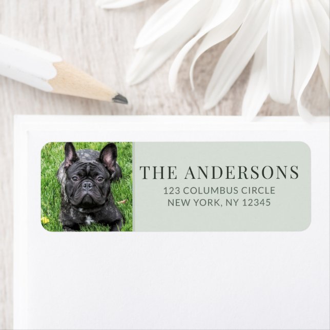 Personalised Pet Photo Sage Green Return Address  (Insitu)