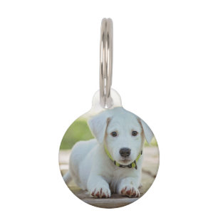 Personalised Pet Photo   Tag