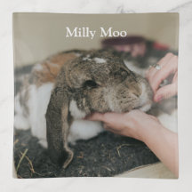 Personalised Pet Photo