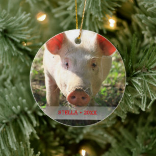 Personalised Pet Pig Photo & Name Christmas Tree Ceramic Tree Decoration