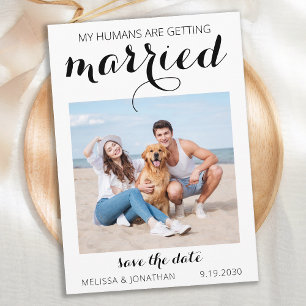 Personalised Pet Wedding Simple Dog Photo Save The Date