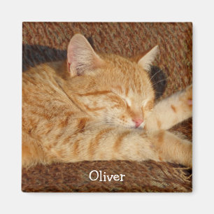 Personalised pet's photo magnet