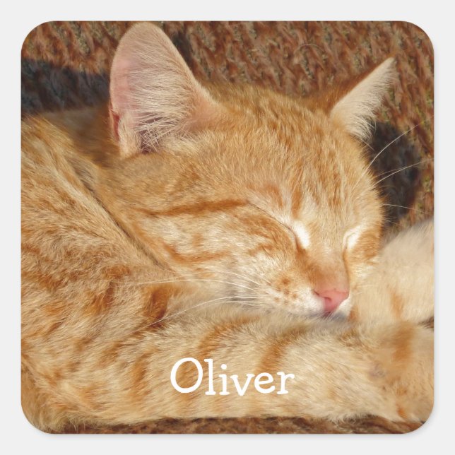 Personalised pet's photo square sticker (Front)