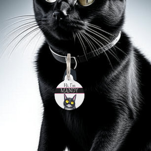 Personalised Phone Number and Address Cat Pet Tag