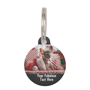 Personalised photo and text pet tag