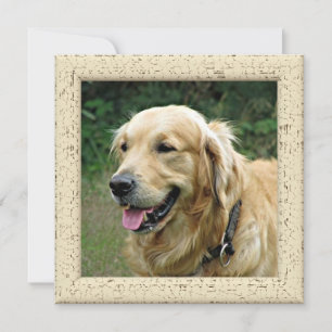 Personalised Photo Card From Your Dog