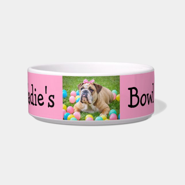 Personalised Photo Custom Colour Dog Bowl (Front)
