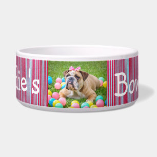 Personalised Photo Dog Bowl Red and Blue