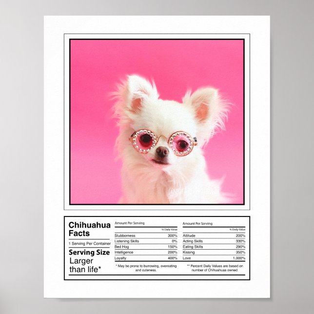 Personalised Photo Dog Breed Facts Chihuahua Poster (Front)