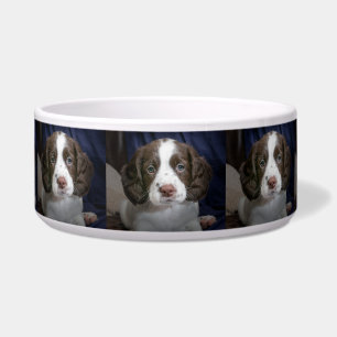 Personalised Photo Dog Food Bowl