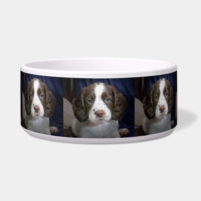 Personalised Photo Dog  Food Bowl (Front)
