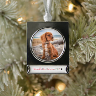 Personalised Photo Dogs First Christmas 2024 Silver Plated Banner Ornament