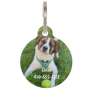 Personalised Photo ID Dog Cat Tag 