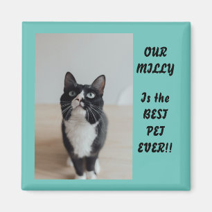 Personalised Photo Magnet Best Pet Ever