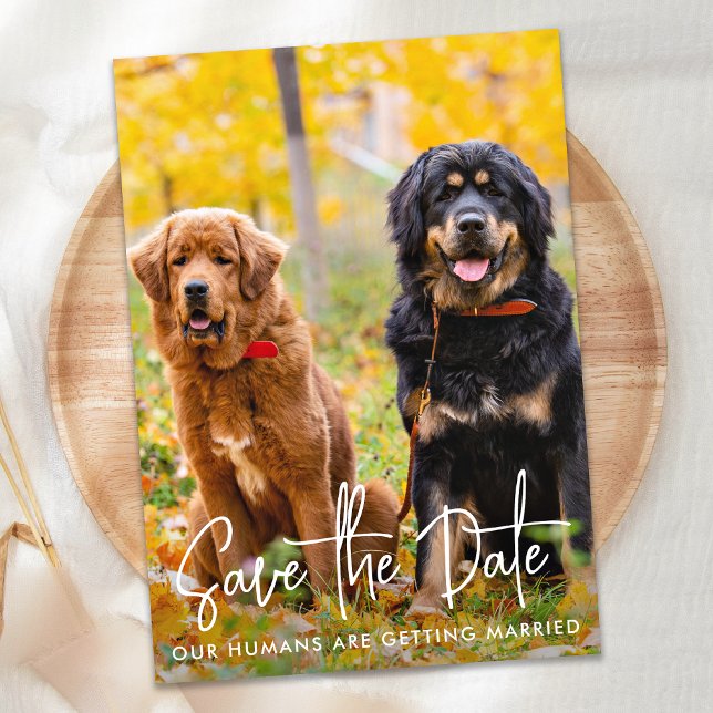 Personalised Photo Modern Script Pet Dog Wedding Save The Date (Creator Uploaded)