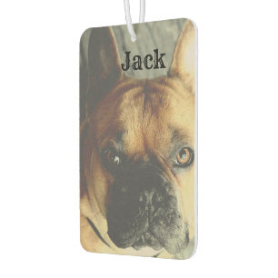 Personalised Photo Name Cute Dog Pet  Car Air Freshener