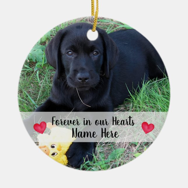 Personalised Photo Ornament - Dog Memorial Ornamen (Front)