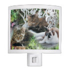 personalised photo pet night light