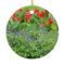 Personalised Photo Round Ceramic Ornament