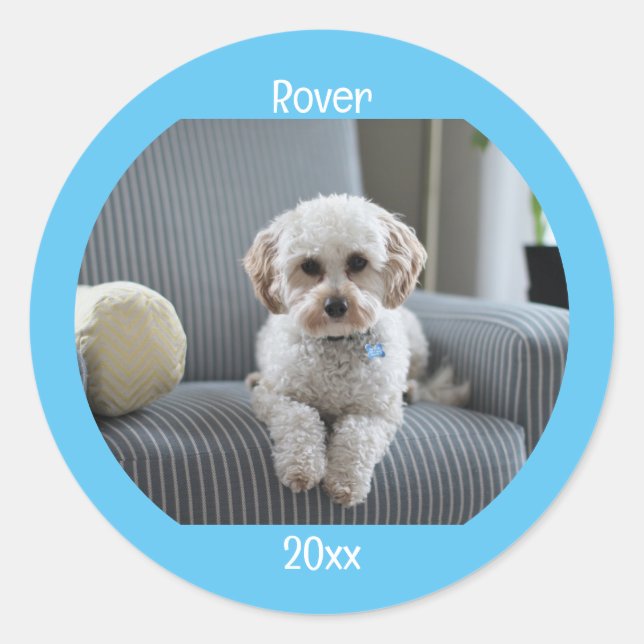 Personalised Photo Two Lines Text Custom Classic Round Sticker (Front)