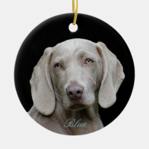 Personalised Photo with Blue Eyed Weimaraner Ceramic Tree Decoration