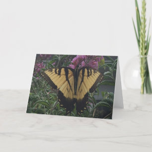 Personalised Photo Yellow and Black Butterfly Card