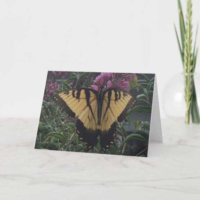 Personalised Photo Yellow and Black Butterfly  Card (Front)