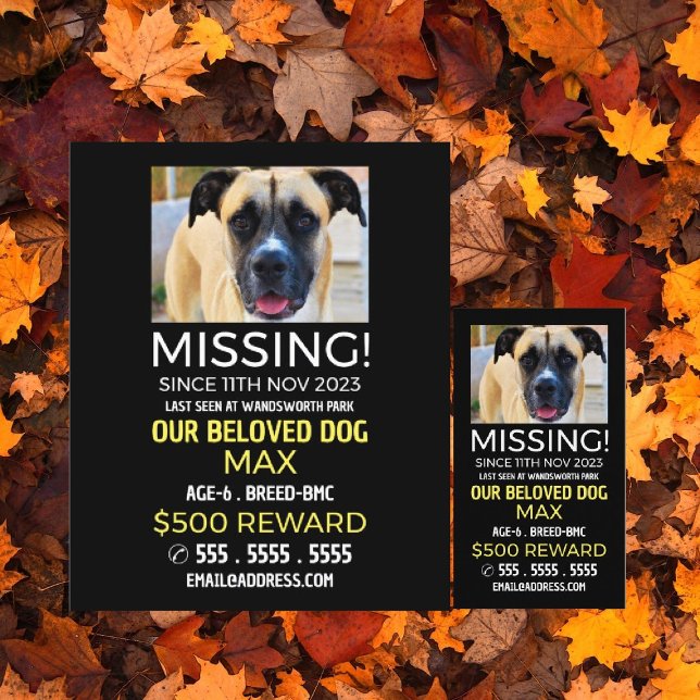 Personalised Photograph, Missing, Lost Pet Cards (Creator Uploaded)