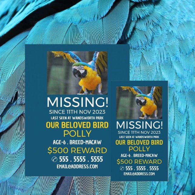 Personalised Photograph, Missing, Lost Pet Cards (Creator Uploaded)