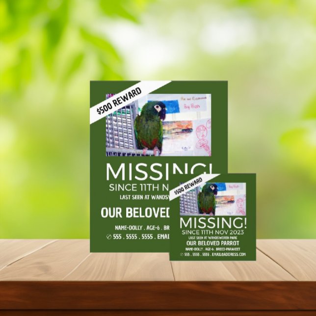 Personalised Photograph, Missing, Lost Pet Cards (Creator Uploaded)