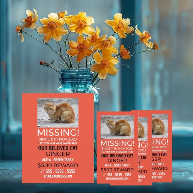 Personalised Photograph, Missing, Lost Pet Cards (Creator Uploaded)